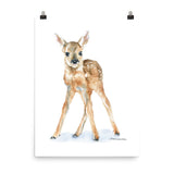Deer Fawn Watercolor 1