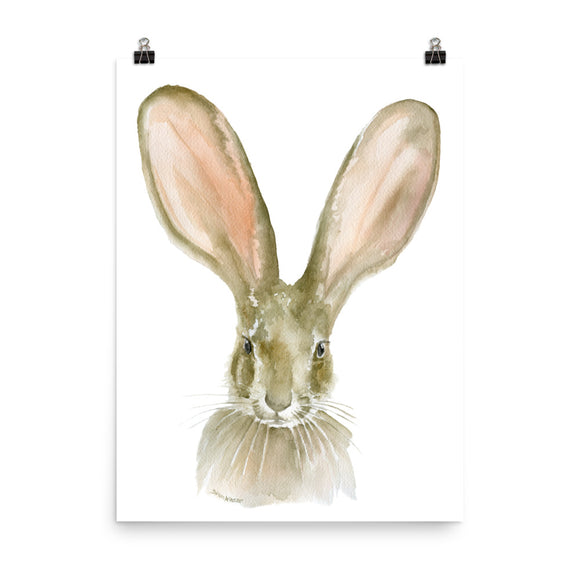 Jack Rabbit Watercolor