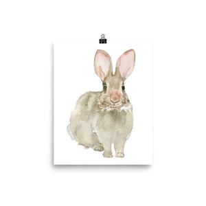 Cottontail Bunny Rabbit - Front - Watercolor Art Print