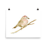 Sparrow Watercolor Print