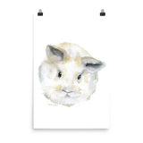 Fluffy Bunny Baby Watercolor