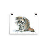 Raccoon Watercolor