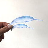 Narwhal Sticker