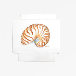 Nautilus Seashell Watercolor Greeting Card
