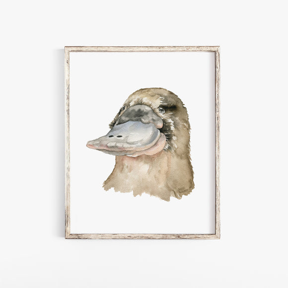 Platypus Watercolor