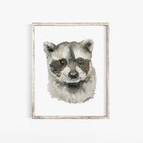 Baby Raccoon Face Watercolor