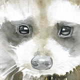 Baby Raccoon Original Watercolor Painting