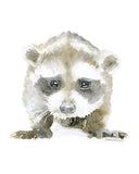 Baby Raccoon Original Watercolor Painting