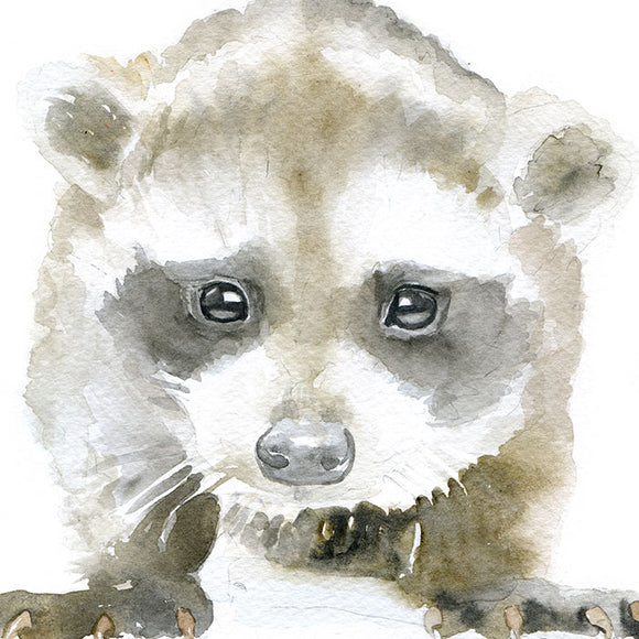 Baby Raccoon Original Watercolor Painting