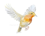 Robin in Flight Original Watercolor Painting
