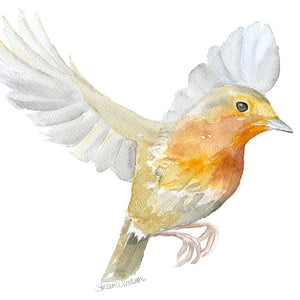 Robin in Flight Original Watercolor Painting