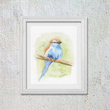 Racket-tailed Roller Bird Original Watercolor Painting