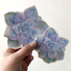 Blue Succulent Sticker