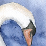 Swan Original Watercolor Painting