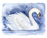 Swan Original Watercolor Painting