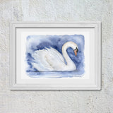Swan Original Watercolor Painting