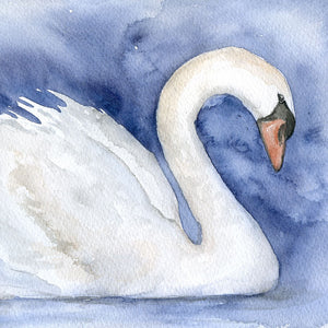 Swan Original Watercolor Painting