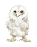 Tawny Owl Original Watercolor Painting