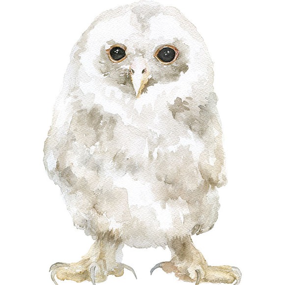 Tawny Owl Original Watercolor Painting