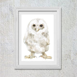 Tawny Owl Original Watercolor Painting
