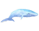Whale Watercolor Art Prints - Set of 4 Animals - Blue, Humpback, Sperm, and Beluga Whales