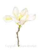 White Magnolia Floral Tea Towel