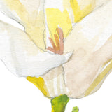 White Magnolia Floral Tea Towel