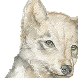 Gray Wolf Pup Watercolor Print